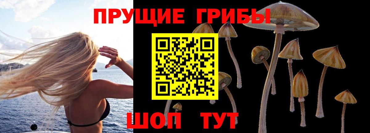 Нижнекамск  Псилоцибиновые грибы MAGIC MUSHROOMS  наркота  Вход с VPN 